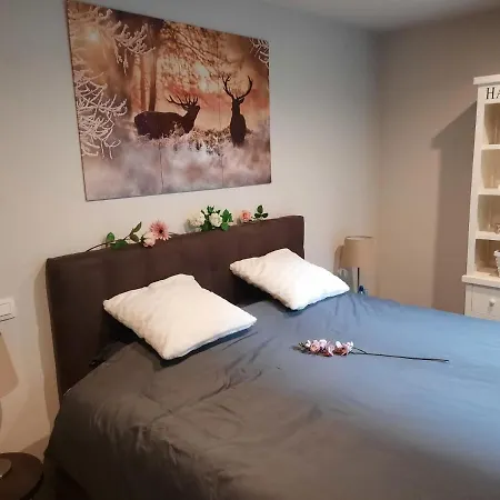 Lectus Iv Apartament